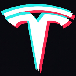 TeslaWrap3D logo